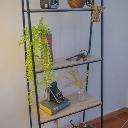 Casa Borda Da Rocha * Nordeste (Azores)