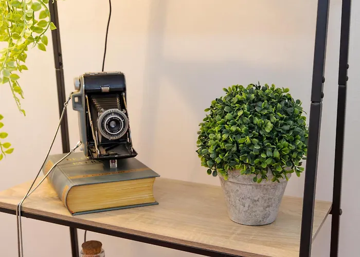 Casa Borda Da Rocha Nordeste (Azores)